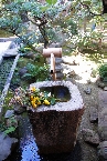 popup_536_800_GALLERY