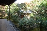 popup_800_536_GALLERY