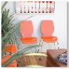 popup_456_456_GALLERY
